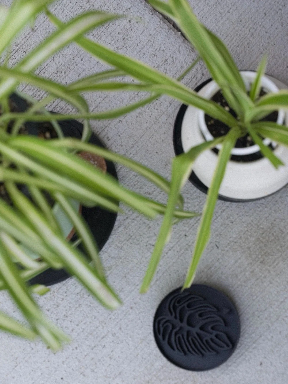 Monstera Leaf Plant Saucer Tray 9” | Large Plant Drip Tray